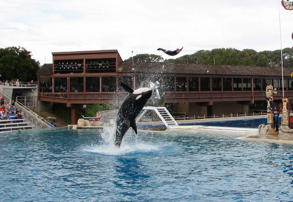 Seaworld