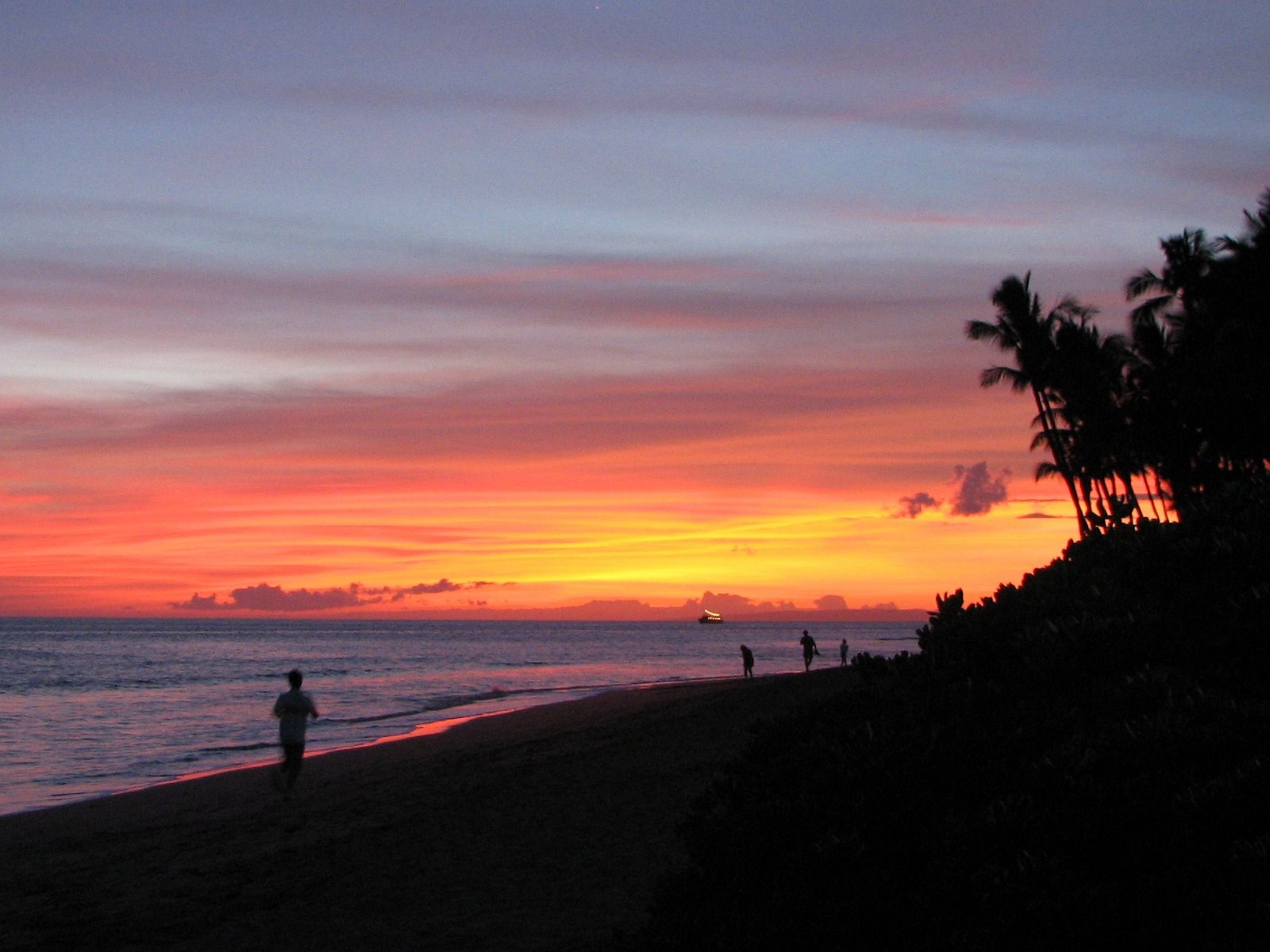 Just Maui'ed