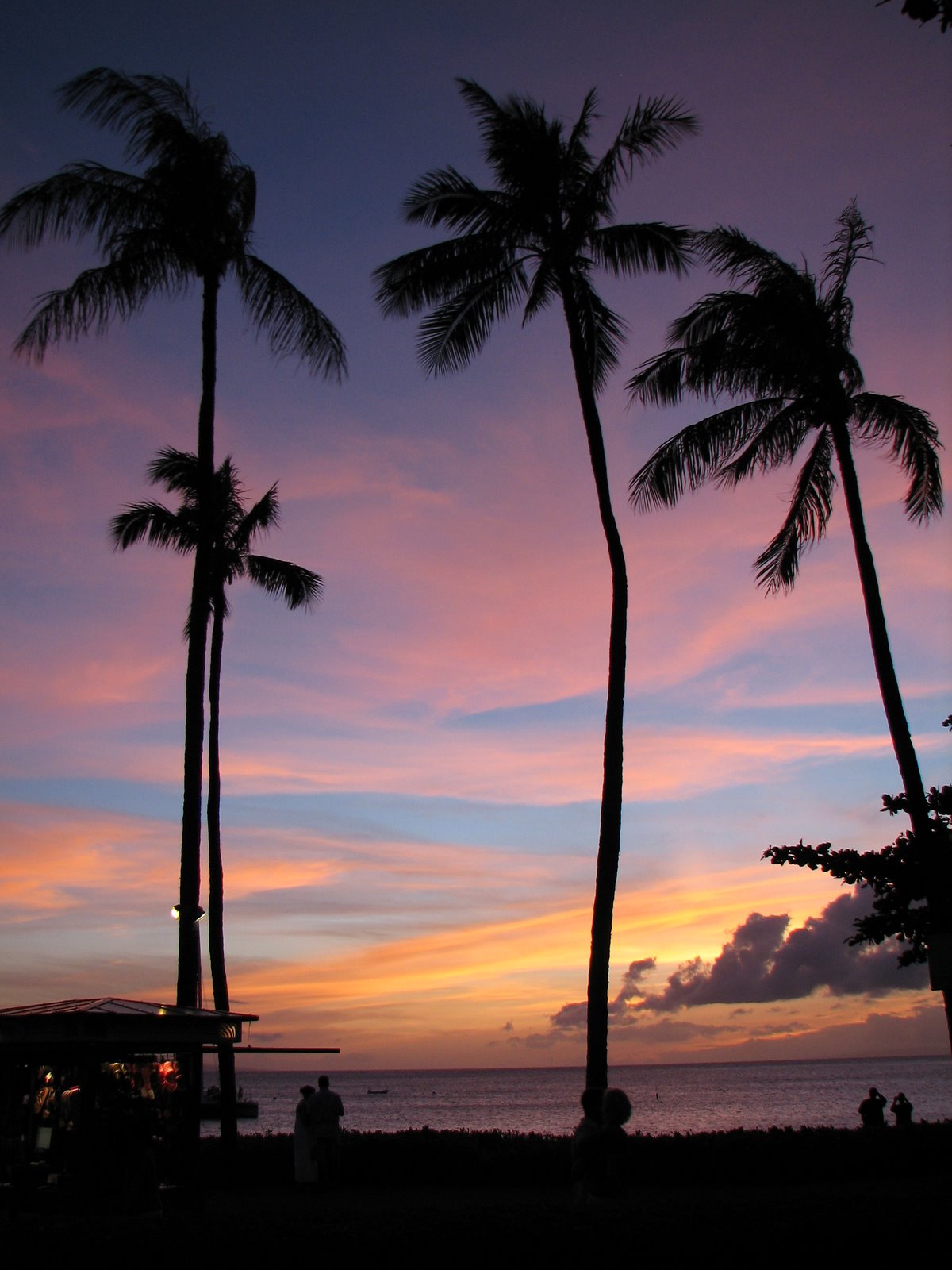 Maui 1